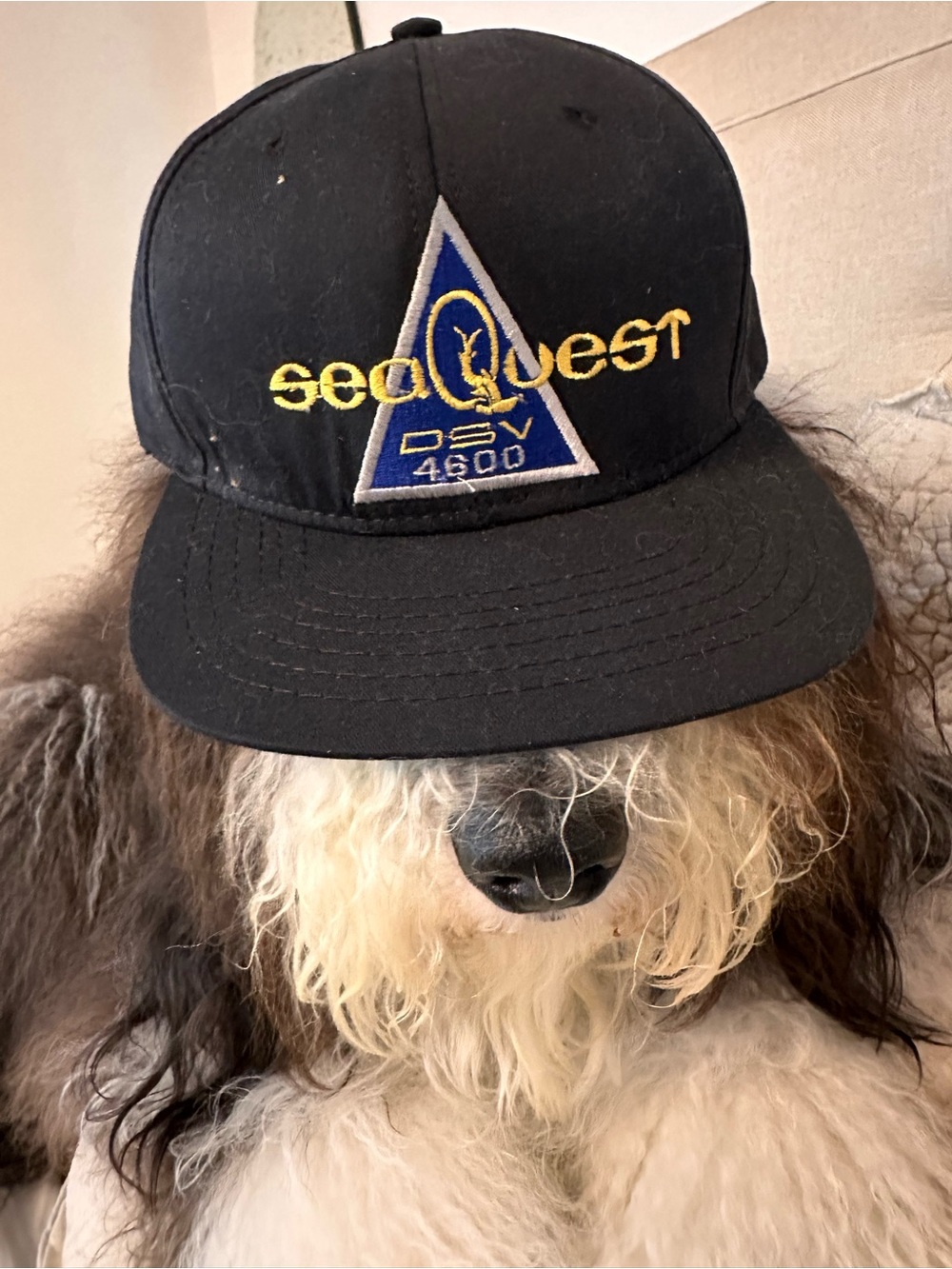 Vintage/collectable memorabilia Sea quest hat smoke free home